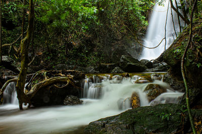 Scenic view of waterfall in forest