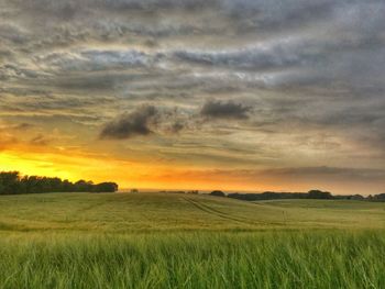 Scenic view of agricultural field against sky during sunset