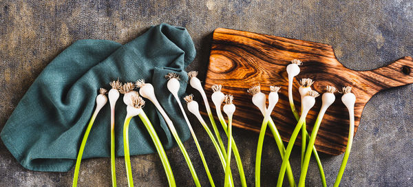 New trendy vegetable sweet garleek on cloth and cutting board top view web banner