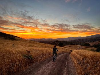 Rear view of man riding bicycle on field against sky during sunset