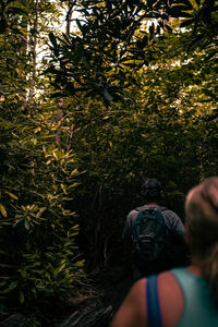 Rear view of people in forest