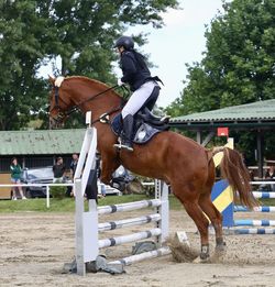 Side view of woman riding horse on field