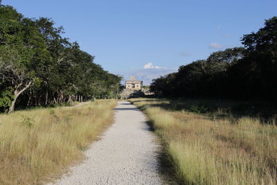 Footpath amidst grass and trees against sky