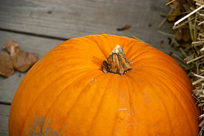 High angle view of pumpkin on wood during autumn