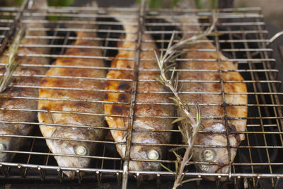 Close-up of fish on barbeque grill