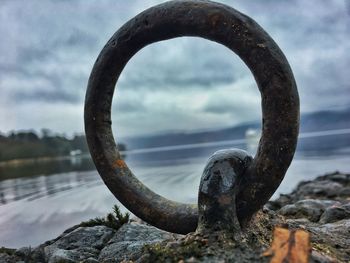 Close-up of snake against sky