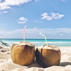 Close-up of coconut at beach against sky