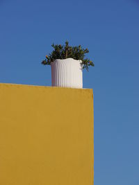 Low angle view of yellow flower against clear blue sky