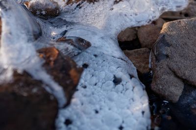 Close-up of snow on rock