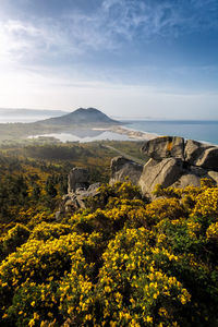 Scenic view of landscape against sky