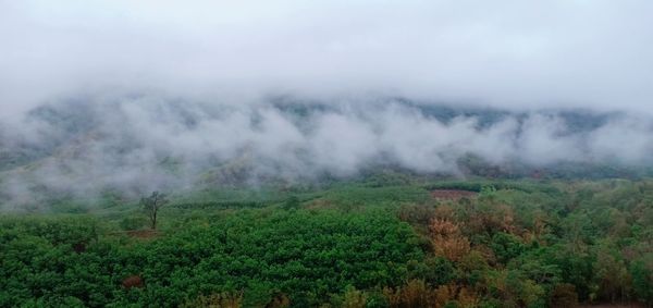 Scenic view of fog on field against sky