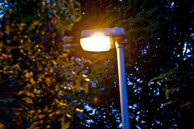 Low angle view of street light at night