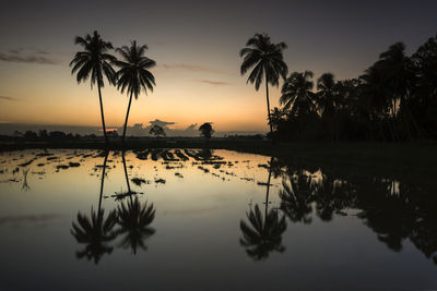 Silhouette of palm trees at lake during sunset