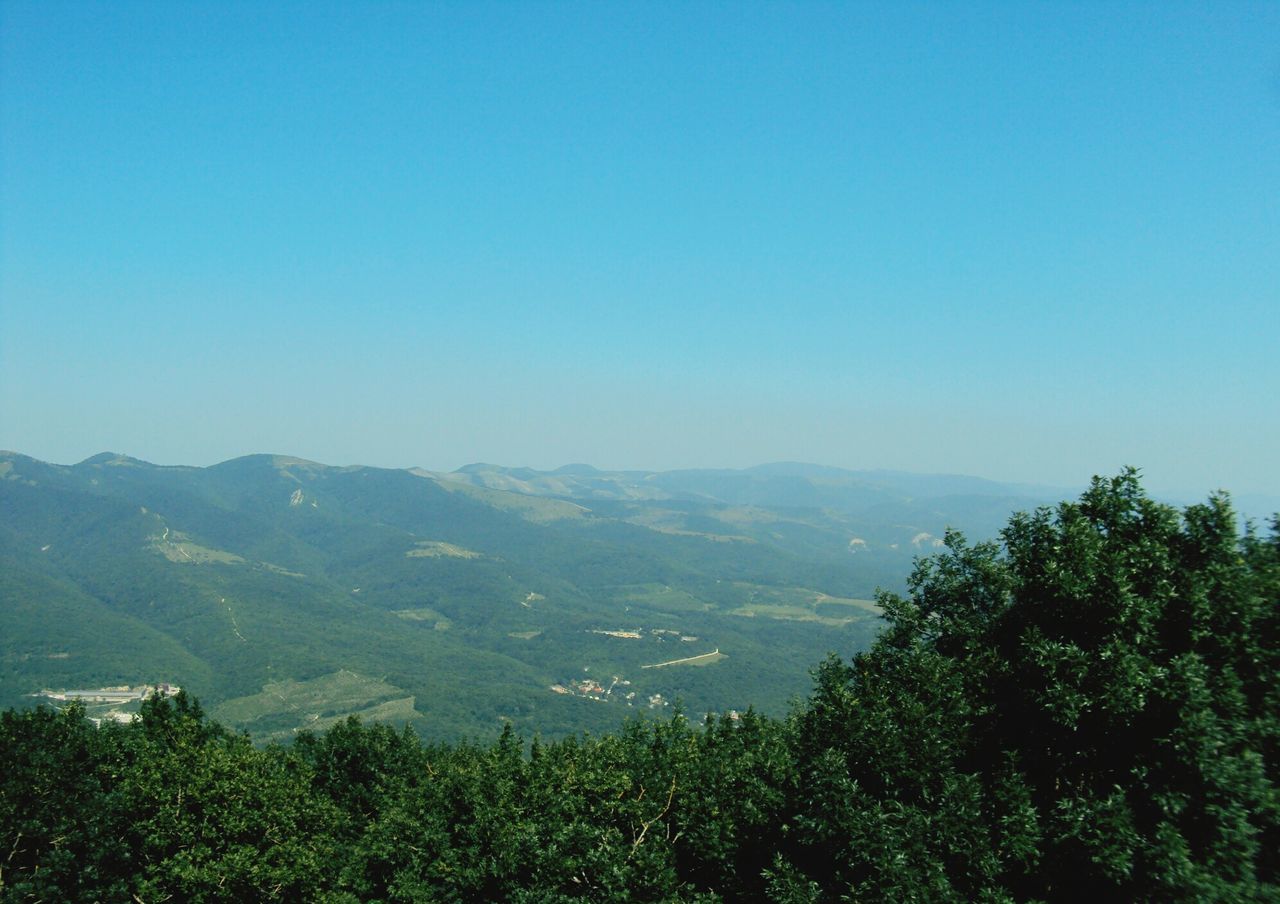 clear sky, copy space, mountain, tranquil scene, tranquility, scenics, blue, beauty in nature, landscape, tree, nature, mountain range, non-urban scene, idyllic, growth, remote, day, outdoors, non urban scene, no people