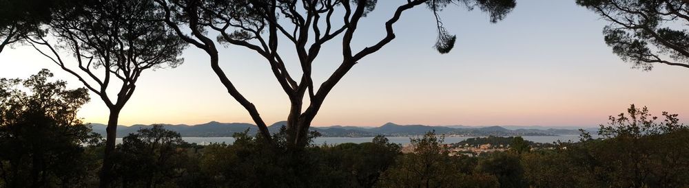 Scenic view of trees and mountains against sky during sunset