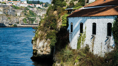 Trees and houses by sea in town