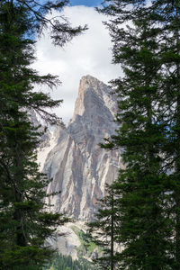 Trees and mountains in the dolomite, the most beautiful mountains in the world