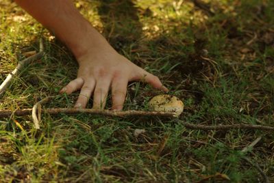 Midsection of person holding stick on field