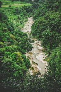 High angle view of waterfall amidst trees in forest