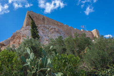 Walls of the acropolis of athens seen from below with windblown trees and prickly pear