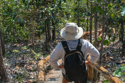 Rear view of woman standing in forest