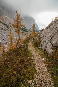 Footpath amidst plants and mountains against sky