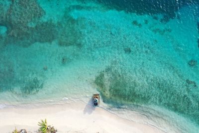 High angle view of man swimming in sea