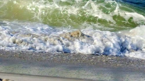 Close-up of wave on beach