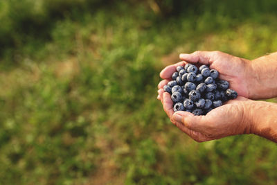 Cropped image of hand holding fruit