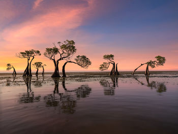 Scenic view of sea against sky during sunset