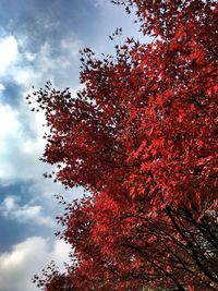 Low angle view of trees against cloudy sky