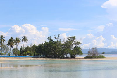 The view of bokori island during the day