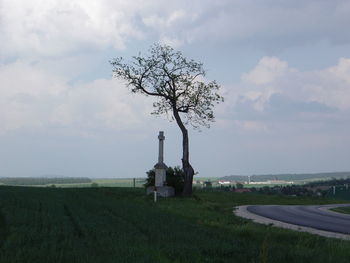 Bare tree on grassy field against cloudy sky