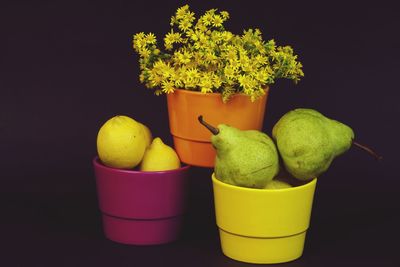 Close-up of potted plant with fruits on black background