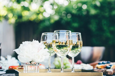 Close-up of wineglass on table