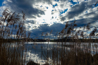 Scenic view of lake against sky