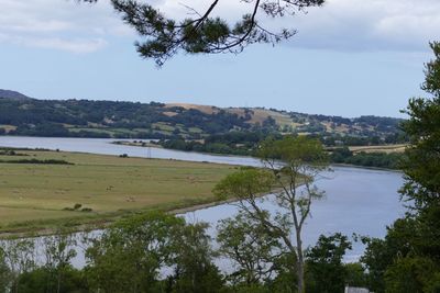 Scenic view of lake and trees against sky