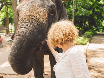 Woman touching elephant at park