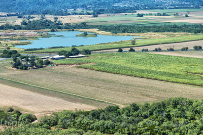 High angle view of agricultural field