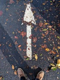 Low section of person standing by autumn leaves