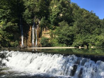 Scenic view of waterfall in forest