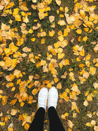 Low section of person standing amidst autumn leaves