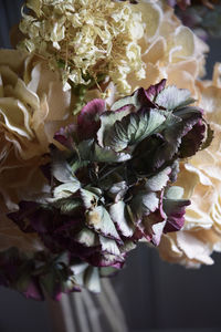 Close-up of flowers