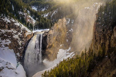 Scenic view of waterfall in forest