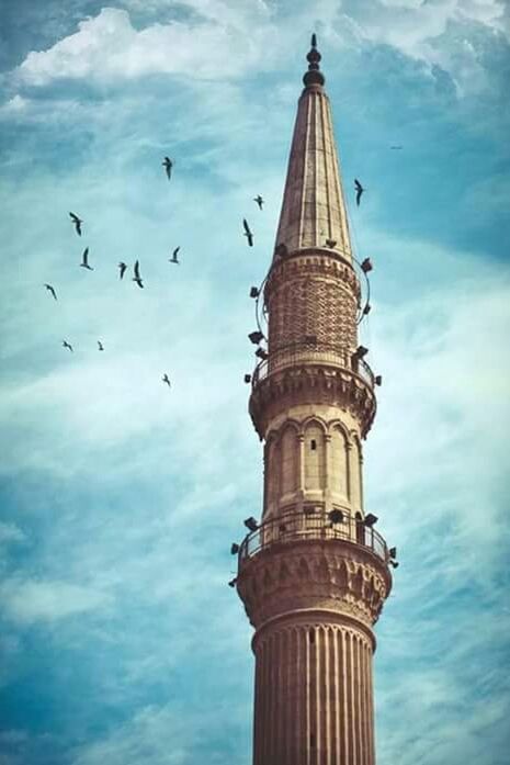 low angle view, bird, sky, architecture, built structure, animals in the wild, animal themes, building exterior, cloud - sky, flying, famous place, wildlife, travel destinations, history, travel, tower, cloud, tourism, spread wings, international landmark