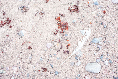 High angle view of pebbles on sand