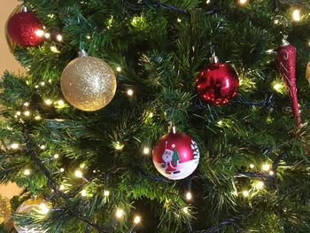 Christmas decoration hanging on tree