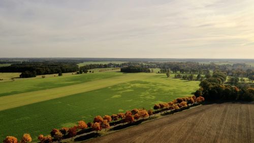 Scenic view of landscape against sky