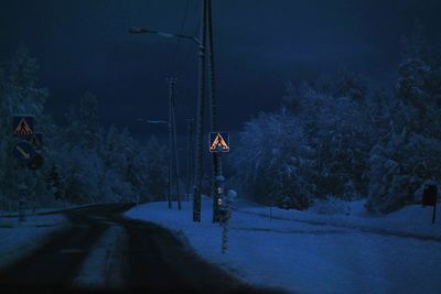 Road along trees in winter