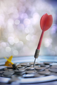 Close-up of darts with coins on target